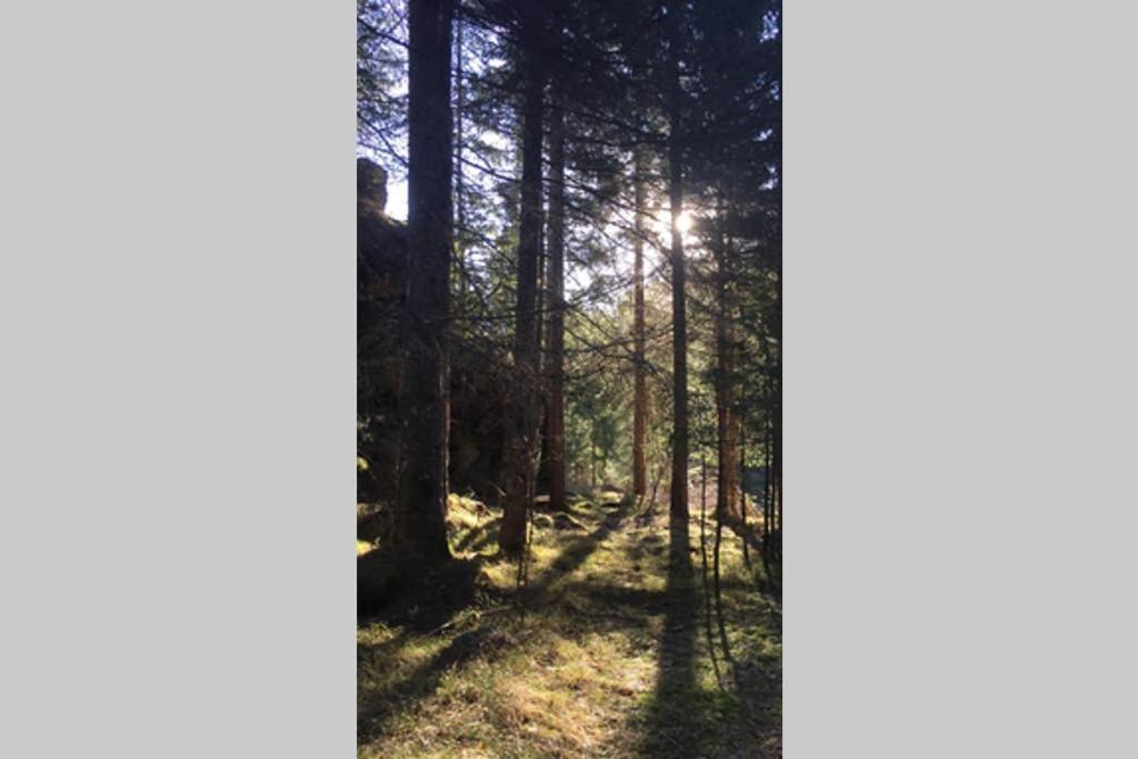 Gemuetliches Ferienhaus Am Waldrand Tröpolach Esterno foto